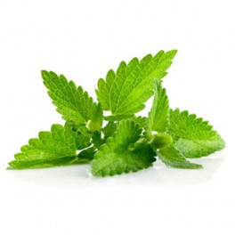 menthe